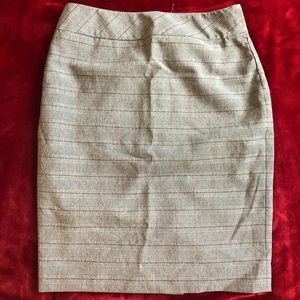 Pencil Skirt for Professionals